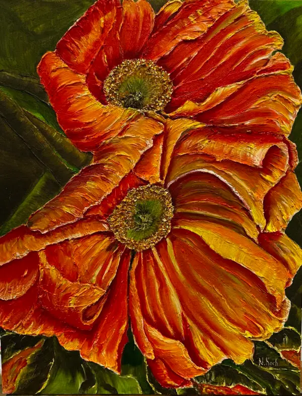 A beautiful poppy is blooming