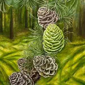 Secrets of the forest