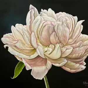 Peony flower