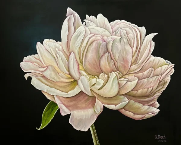 Квітка півонії — картина олією Наталі Кохніченко | Peony flower, oil painting by Natali Kokhnichenko