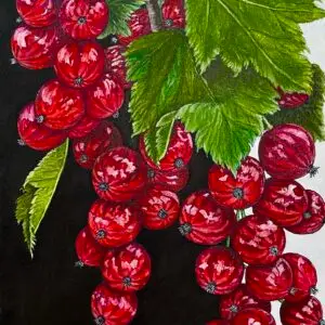 Red currants