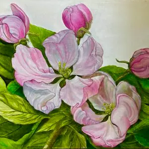 Spring of creation