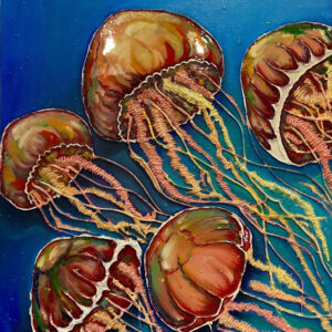 Jellyfish 2024