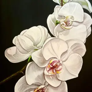 Orchids