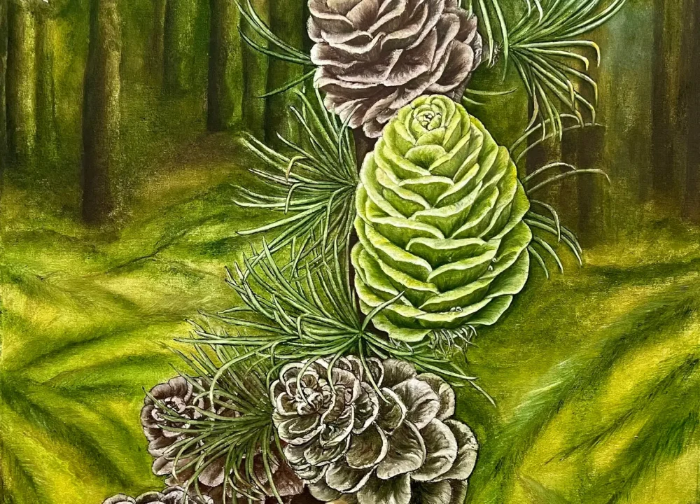 Secrets of the forest