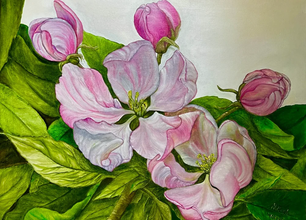 Spring of creation