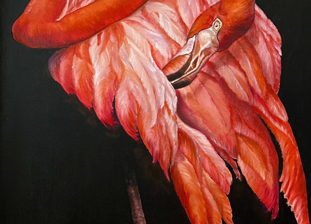 "Flamingo" 2024