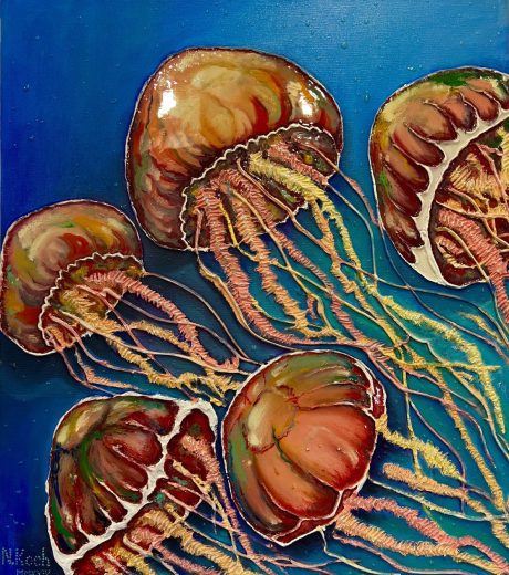 Jellyfish 2024