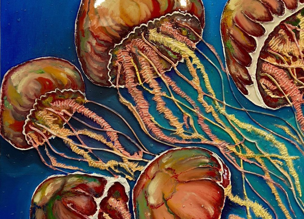 Jellyfish 2024