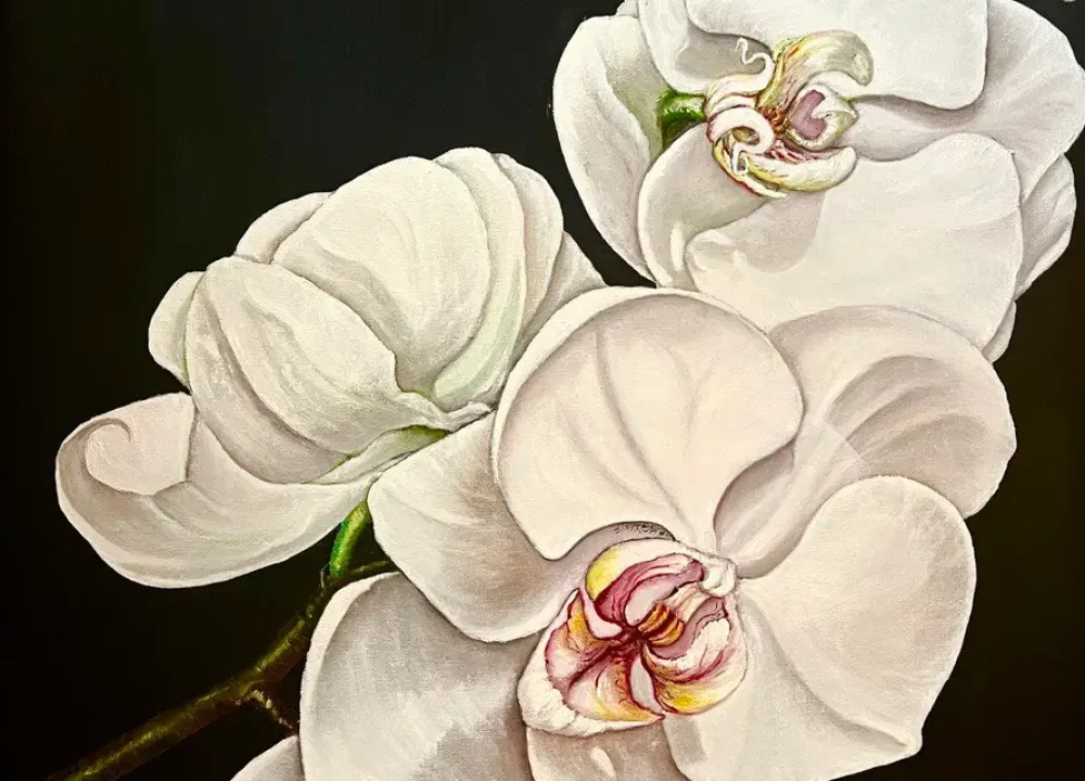 Orchids